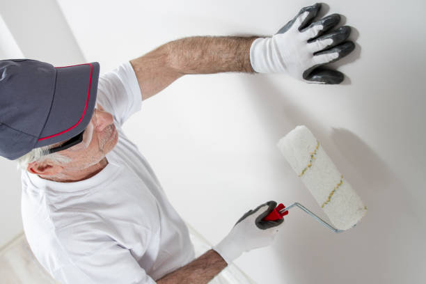 Best Forensic Mold Investigation  in Bonnie Brae, IL