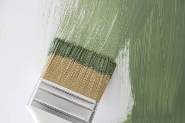 Best Mold Odor Removal Services  in Bonnie Brae, IL