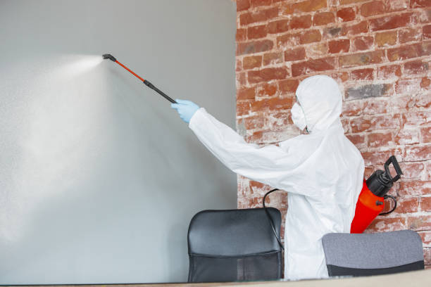Best Mold Remediation for Rental Properties  in Bonnie Brae, IL