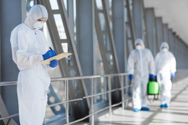 Trusted Bonnie Brae, IL Mold Removal Experts