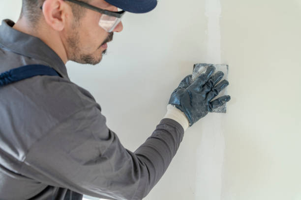 Best Attic Mold Removal  in Bonnie Brae, IL