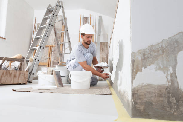 Best Industrial Mold Remediation  in Bonnie Brae, IL
