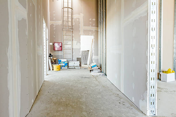 Best Airborne Mold Testing  in Bonnie Brae, IL