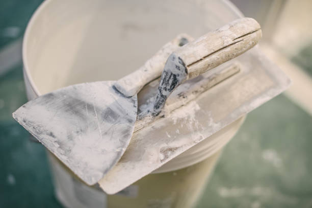 Best Forensic Mold Investigation  in Bonnie Brae, IL