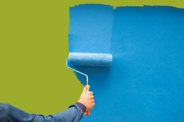 Best Residential Mold Inspection & Testing  in Bonnie Brae, IL