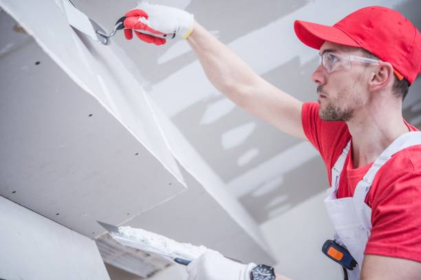 Best Dehumidification Services  in Bonnie Brae, IL